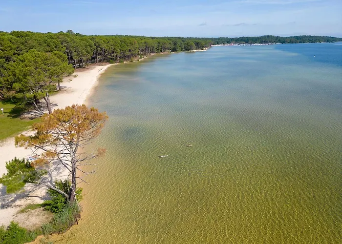 Maison Confortable A Biscarrosse Avec Piscine Privee Et Animaux Acceptes - Fr-1-319-627 Holiday home Biscarrosse