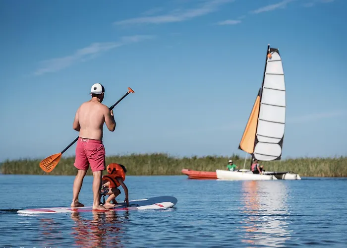 Maison Confortable A Biscarrosse Avec Piscine Privee Et Animaux Acceptes - Fr-1-319-627 *